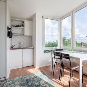 Studio for rent for 650 € per month in Magdeburg, Holsteiner Straße