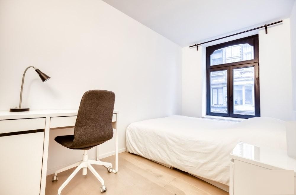 Rue de Flandre, Brussels preview