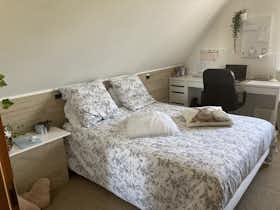 Отдельная комната сдается в аренду за 350 € в месяц в Eckwersheim, Rue de Longchamp