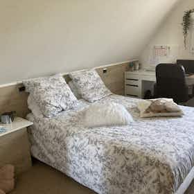 Private room for rent for €350 per month in Eckwersheim, Rue de Longchamp
