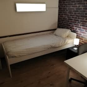 Private room for rent for HUF 74,543 per month in Budapest, Pál utca