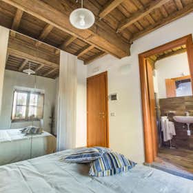 Stanza condivisa for rent for 750 € per month in Viterbo, Piazza Duomo