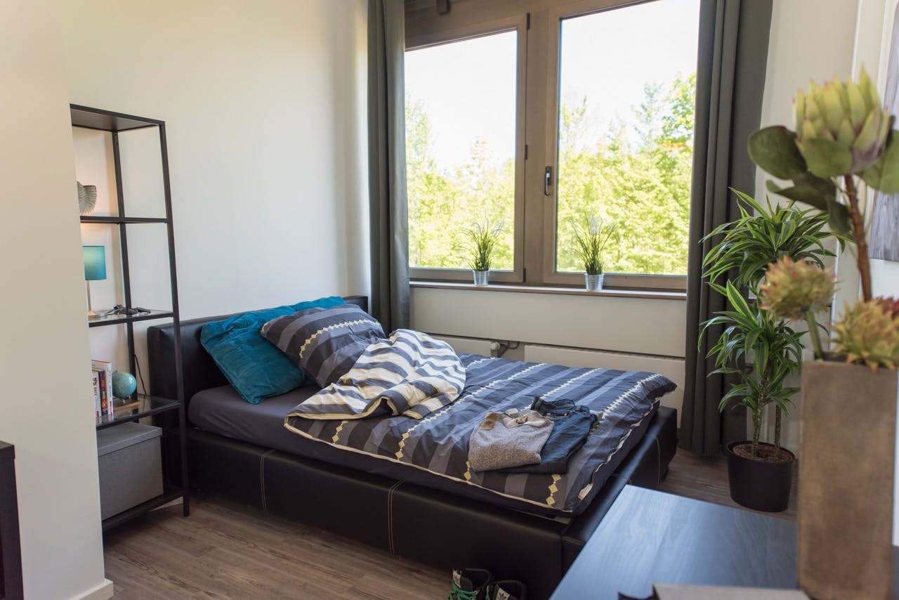 Fritz-Erler-Straße, Munich preview