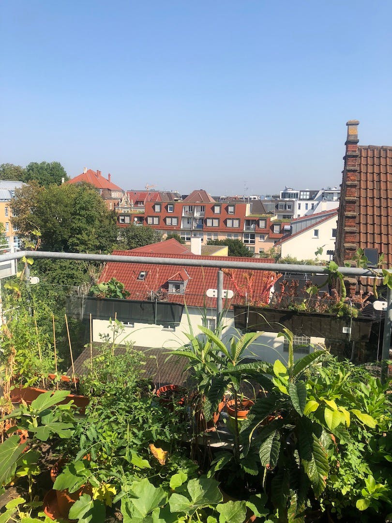 Single room Ludwigsburg, 20m² — photo 10