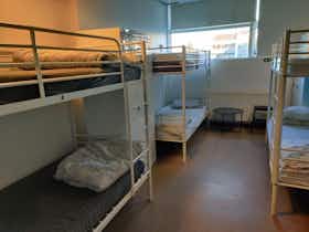 Mehrbettzimmer zu mieten für 180.353 ISK pro Monat in Reykjavík, Skógarhlíð