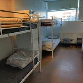 Mehrbettzimmer zu mieten für 180.352 ISK pro Monat in Reykjavík, Skógarhlíð