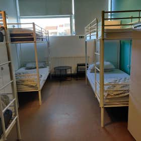 Shared room for rent for €1,200 per month in Reykjavík, Skógarhlíð