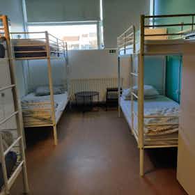 Shared room for rent for ISK 180,352 per month in Reykjavík, Skógarhlíð
