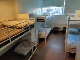 Shared room for rent for ISK 180,354 per month in Reykjavík, Skógarhlíð