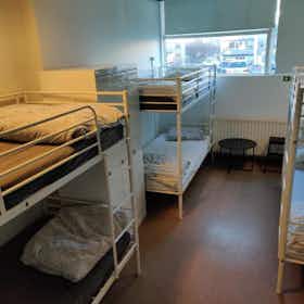 Mehrbettzimmer zu mieten für 180.352 ISK pro Monat in Reykjavík, Skógarhlíð