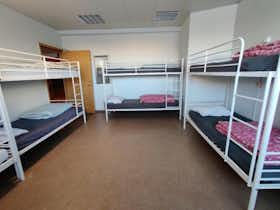Shared room for rent for €1,050 per month in Reykjavík, Skógarhlíð