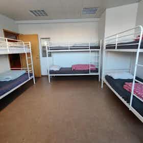 Mehrbettzimmer zu mieten für 157.808 ISK pro Monat in Reykjavík, Skógarhlíð