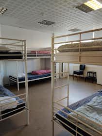 Shared room for rent for ISK 157,809 per month in Reykjavík, Skógarhlíð