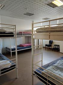 Mehrbettzimmer zu mieten für 157.809 ISK pro Monat in Reykjavík, Skógarhlíð