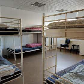 Shared room for rent for ISK 157,823 per month in Reykjavík, Skógarhlíð
