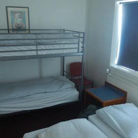 Shared room for rent for ISK 300,836 per month in Reykjavík, Þverholt