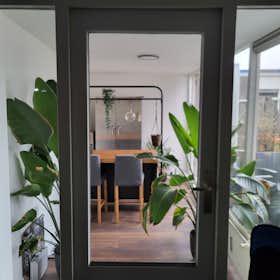 Private room for rent for €1,150 per month in Rotterdam, Sint-Jacobstraat