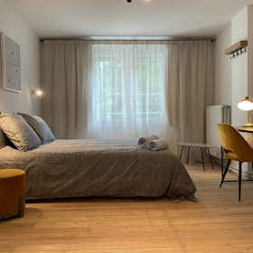 Private room for rent for €925 per month in Schaerbeek, Avenue Eugène Plasky