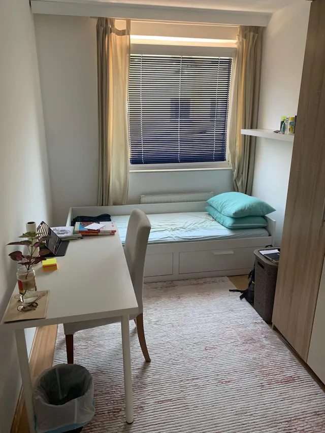 Private room in Wiener Gasse, Vienna (1212499) room image 1