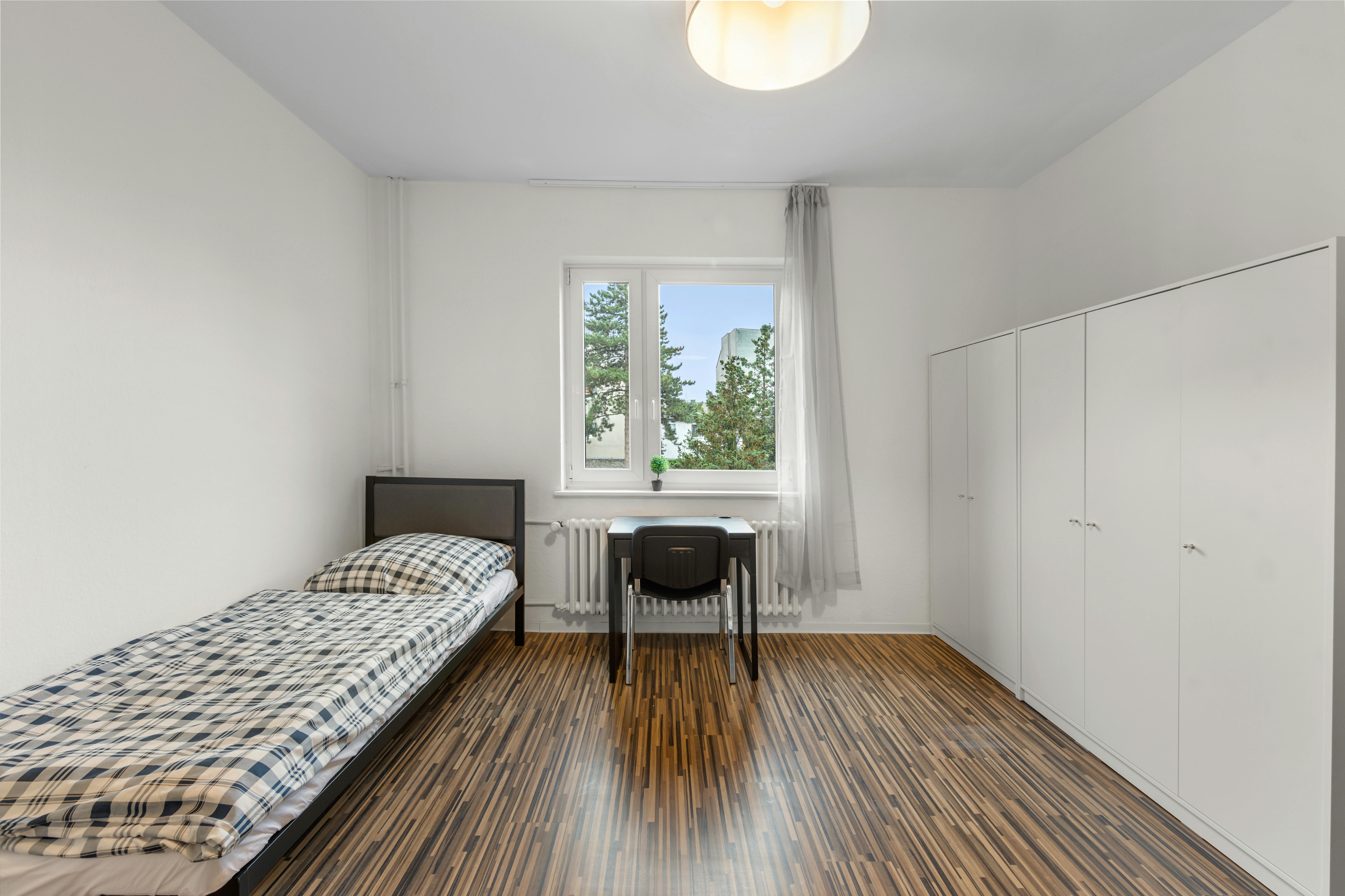 Shared room in Brienzer Straße, Berlin (1212680) room image 7