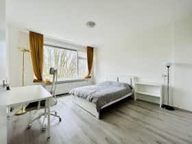 Apartment for rent for €2,800 per month in Rotterdam, Jacob van Akenstraat