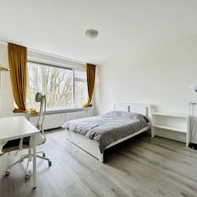 Apartment for rent for €2,800 per month in Rotterdam, Jacob van Akenstraat