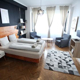 Studio for rent for HUF 374,479 per month in Budapest, Régi posta utca