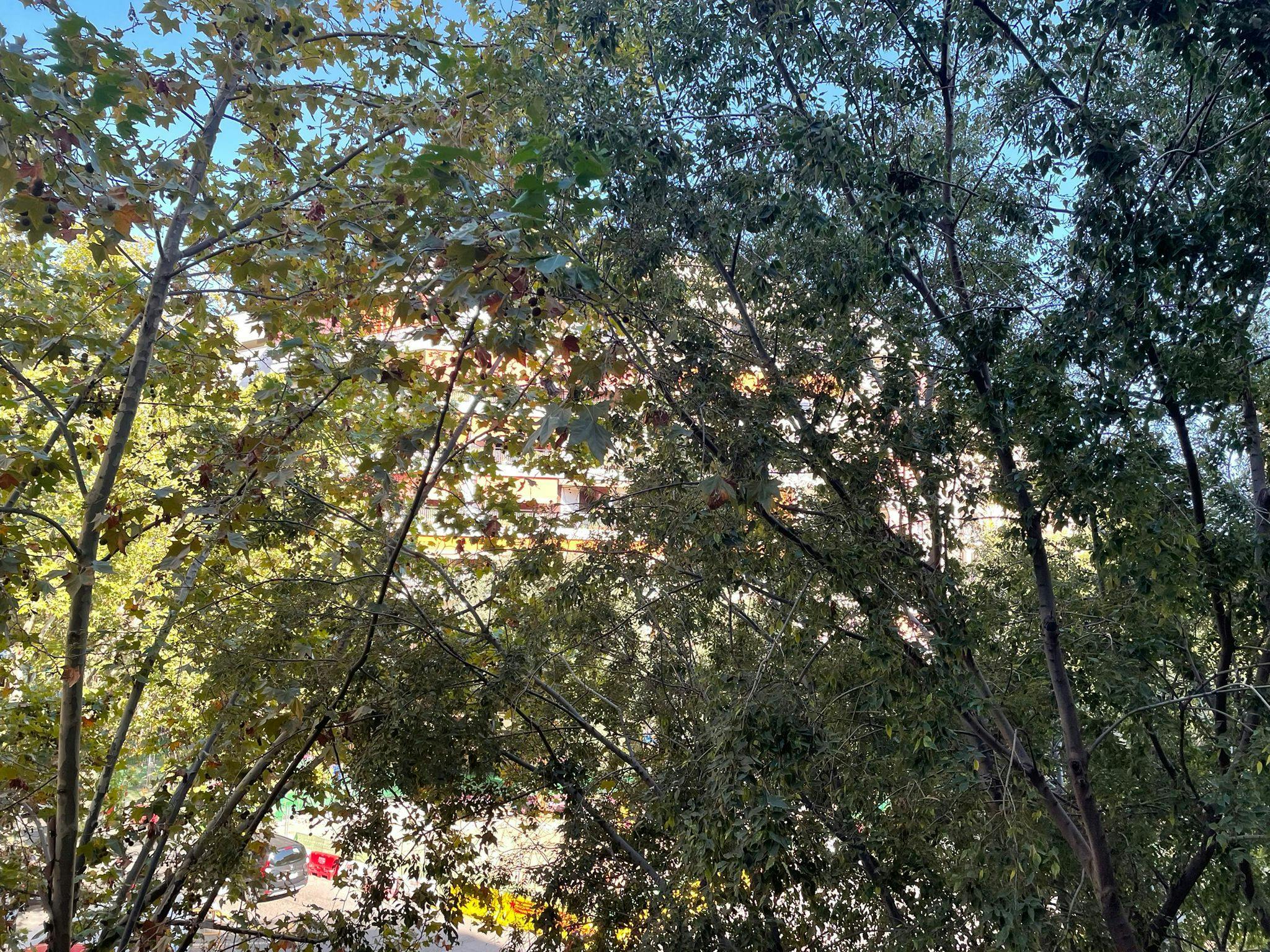 Apartment Barcelona, 120m² — photo 21