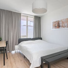 Habitación privada for rent for 895 € per month in Capelle aan den IJssel, Buizerdhof