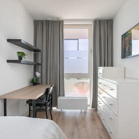 Отдельная комната сдается в аренду за 995 € в месяц в Capelle aan den IJssel, Buizerdhof