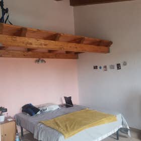 Stanza privata for rent for 450 € per month in Pernumia, Via Palù Inferiore
