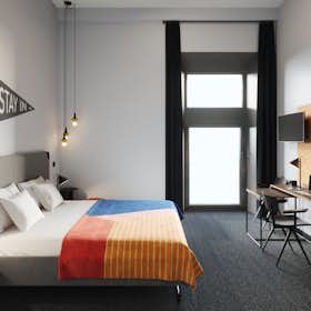 Private room for rent for €831 per month in Toulouse, Rue de Sébastopol