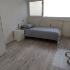 Private room for rent for €925 per month in Capelle aan den IJssel, Wilgenhoek