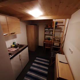 Studio for rent for €1,100 per month in Vienna, Buchengasse