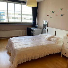 Private room for rent for €1,100 per month in Rotterdam, Gedempte Zalmhaven