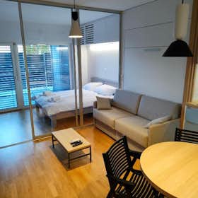 单间公寓 正在以 €1,200 的月租出租，其位于 Ljubljana, Pipanova pot