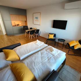Monolocale in affitto a 1.200 € al mese a Ljubljana, Pipanova pot