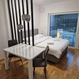 Studio for rent for €1,200 per month in Ljubljana, Pipanova pot