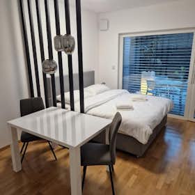 Studio for rent for €1,200 per month in Ljubljana, Pipanova pot