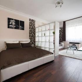 单间公寓 正在以 HUF 428,898 的月租出租，其位于 Budapest, Budafoki út