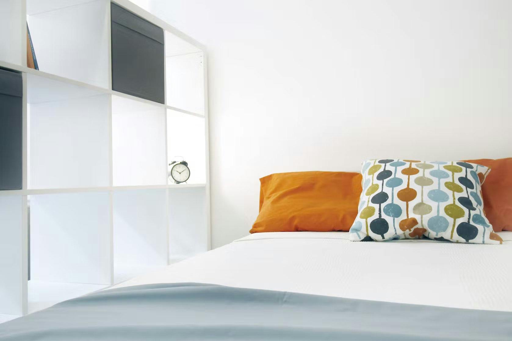 Strada Maggiore, Bologna preview