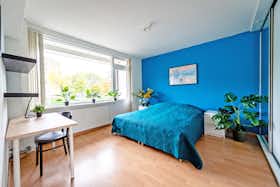 Private room for rent for €1,295 per month in Rotterdam, Edmond Hellenraadstraat