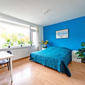 Private room for rent for €1,395 per month in Rotterdam, Edmond Hellenraadstraat