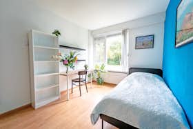Private room for rent for €1,157 per month in Rotterdam, Edmond Hellenraadstraat