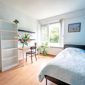 Private room for rent for €1,137 per month in Rotterdam, Edmond Hellenraadstraat