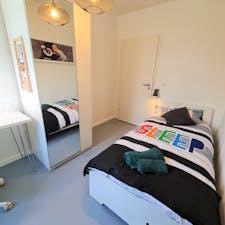 Private room for rent for €780 per month in Bonn, Poppelsdorfer Allee