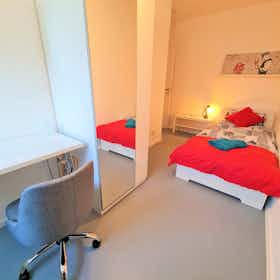Отдельная комната сдается в аренду за 790 € в месяц в Bonn, Poppelsdorfer Allee