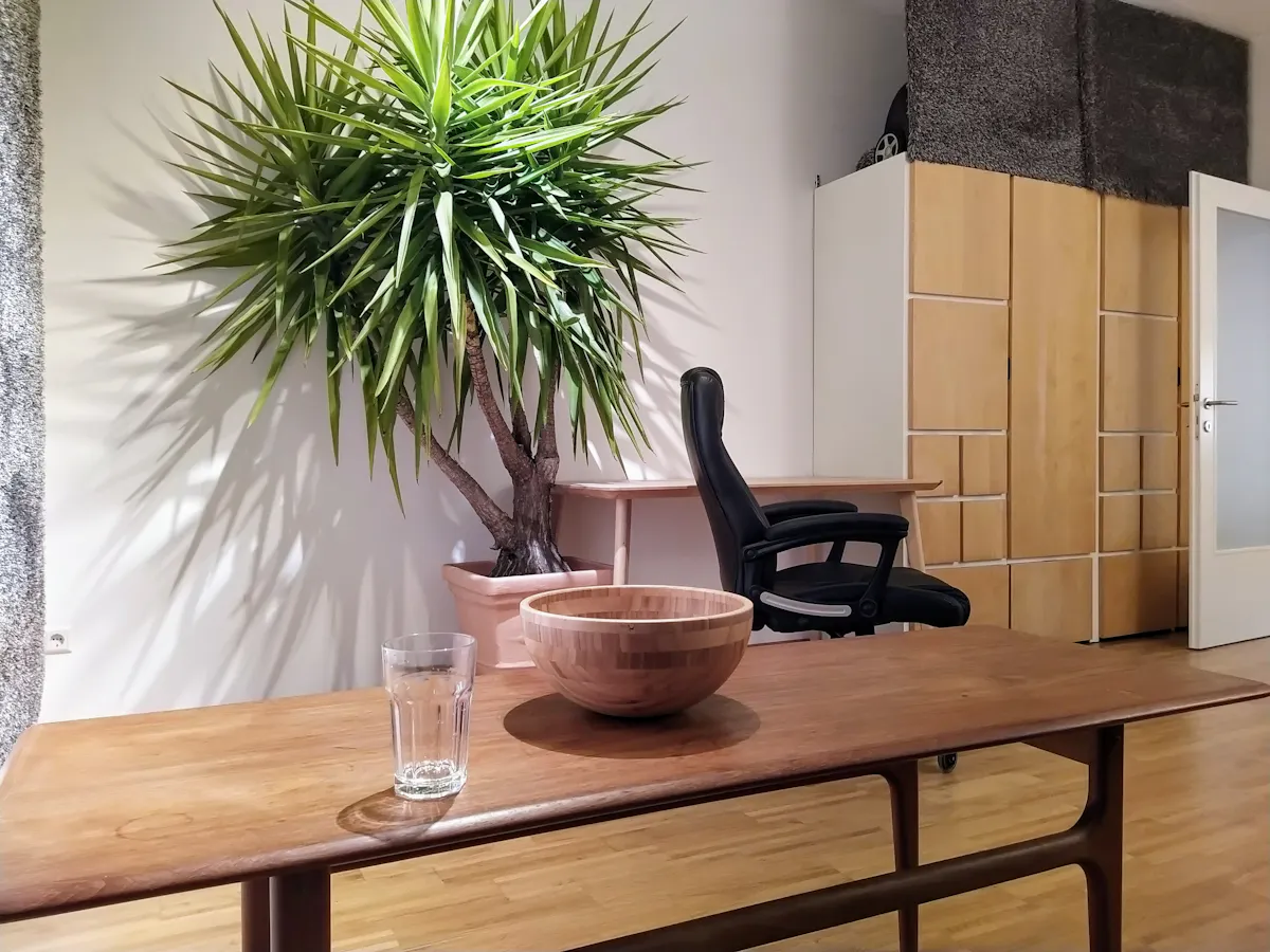 1-Bedroom Apartment in Grenzgasse, Vienna (1234791) ROOM