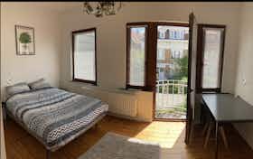 Private room for rent for €630 per month in Schaerbeek, Désiré Desmetstraat