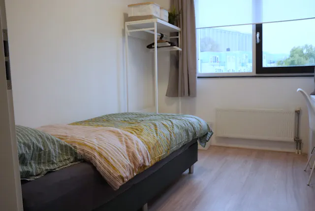 Private room in Den Hertigstraat, Rotterdam (1238848) room image 2